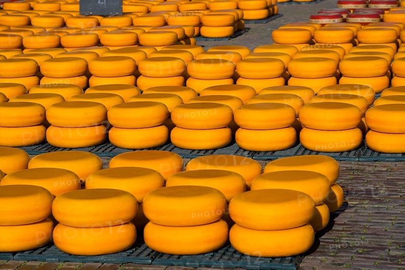 Pile of orange cheese wheels on the ground outside, cheese, cheese market, Alkmaar, Alkmar, Noord-Holland, North Holland, Netherlands