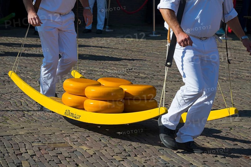 Men in traditional dress carrying yellow cheese wheels at a market, cheese carrier, cheese, cheese market, Alkmaar, Alkmar, Noord-Holland, North Holland, Netherlands