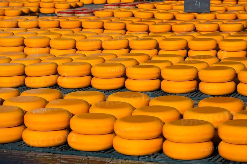 Many cheese wheels stored in stacks in an outdoor area, cheese, cheese market, Alkmaar, Alkmar, Noord-Holland, North Holland, Netherlands