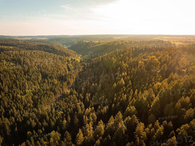 A view over hilly, tree-covered landscapes in the soft light of late day, Mandelberg castle ruins, Pfalzgrafenweiler, Germany