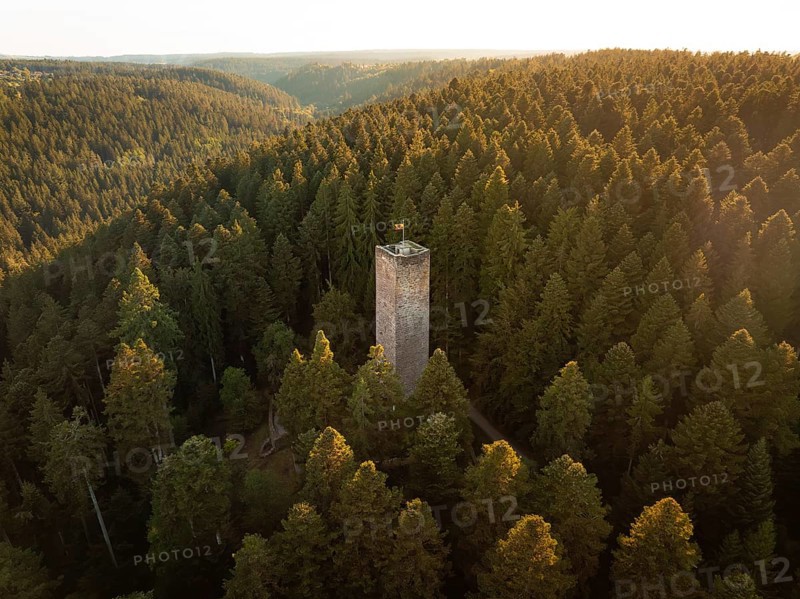 A massive tower rises out of an ocean of trees bathed in warm light, Mandelberg castle ruins, Pfalzgrafenweiler, Germany