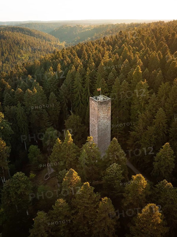 A tall tower stands between dense trees coloured by the light of dusk, Mandelberg castle ruins, Pfalzgrafenweiler, Germany