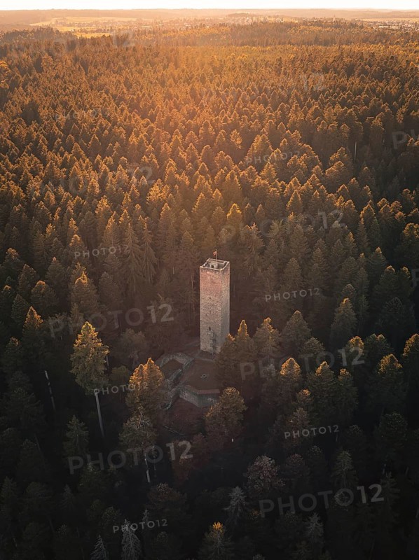 An observation tower rises in the middle of a wooded hill, illuminated by warm evening light, Mandelberg castle ruins, Pfalzgrafenweiler, Germany