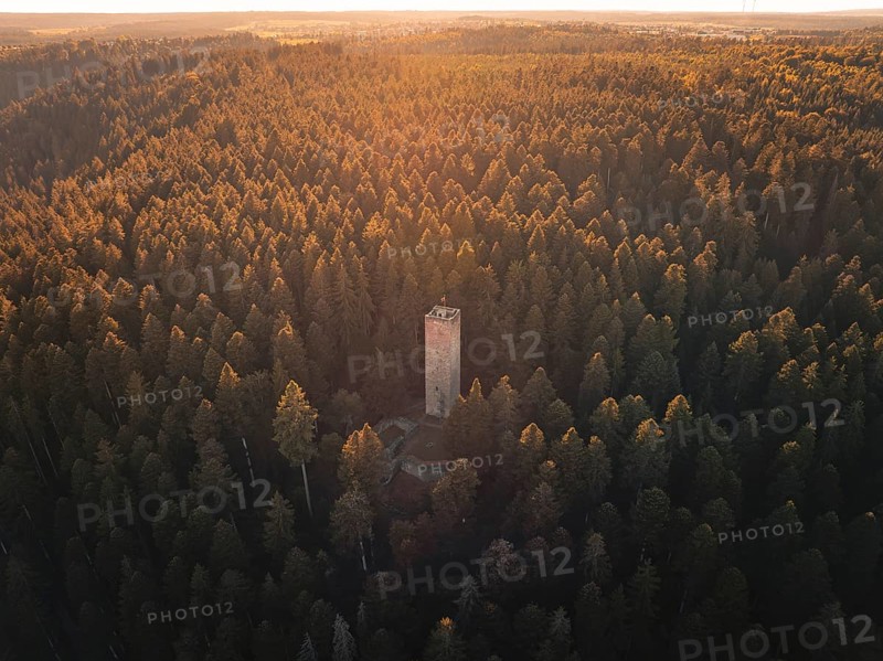 A slender observation tower is surrounded by an expansive forest landscape in the golden light, Mandelberg castle ruins, Pfalzgrafenweiler, Germany