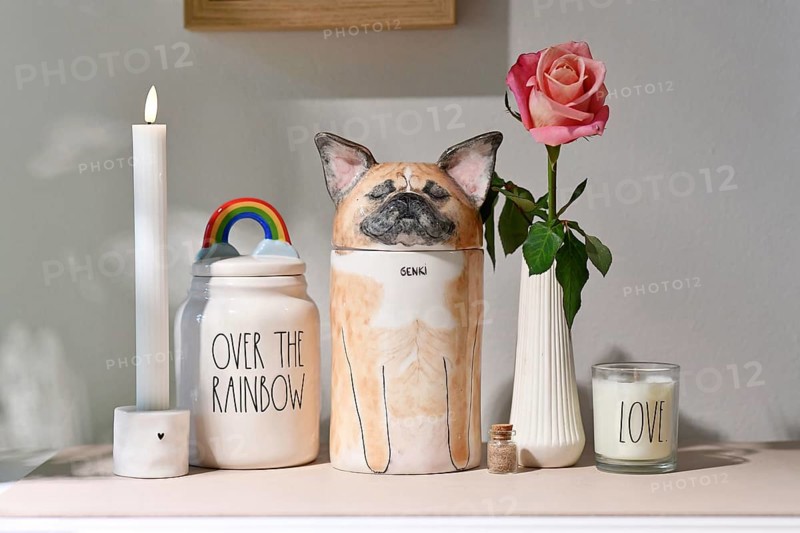 Germany - August 30th 2025: Custom pet dog urn shaped like a French Bulldog surrounded by candle and rose flower. Decorative memorial for dogs