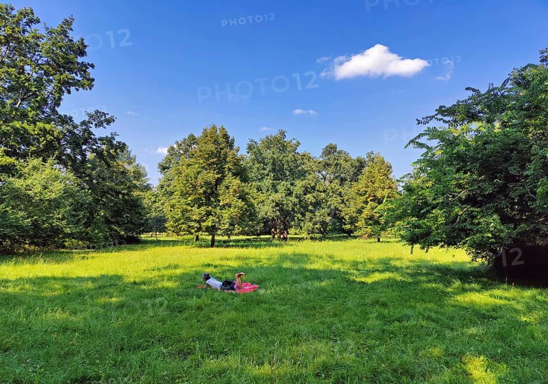 Charlottenburg Palace Gardens, also known as palace gardens, natural recreational area, Berlin, Germany