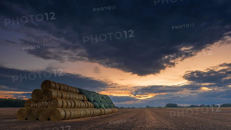 Photograph of a large stack of round bales on a harvested field in the evening light, Husum, Nienburg, Lower Saxony, Germany