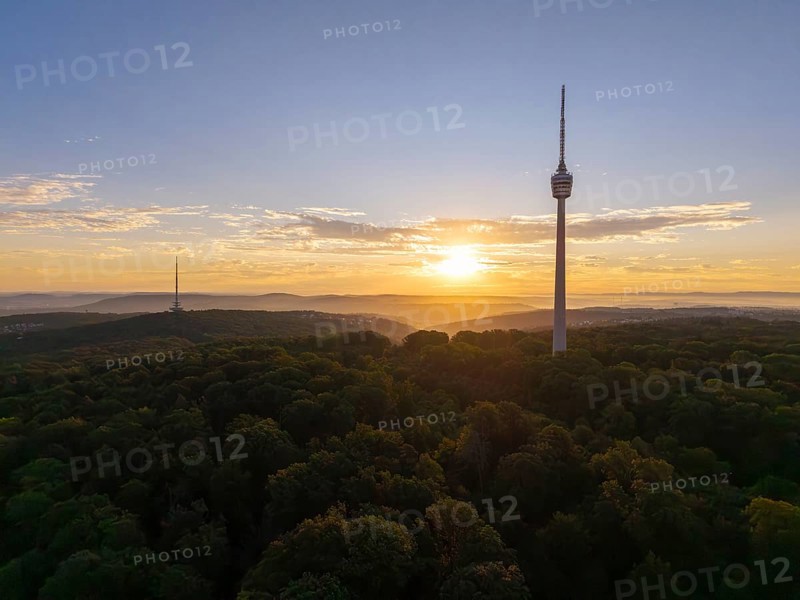 Hilly wooded landscape with television tower at sunrise in the background, Stuttgart-Degerloch, Baden-Württemberg, Germany