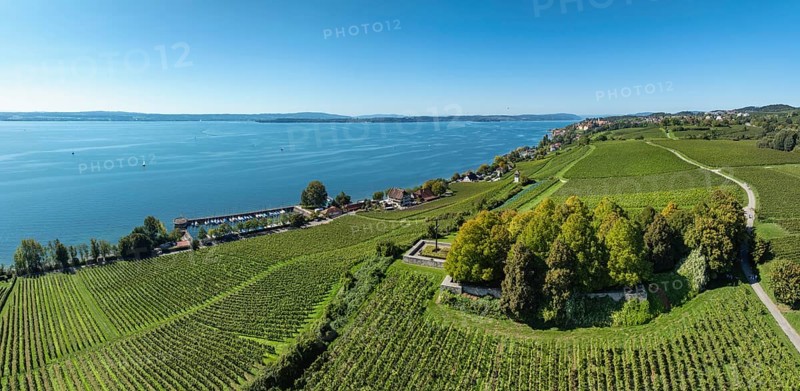 Aerial view, panorama of the Lerchenberg, vineyard, vineyard slope with the war graves and memorial site at the historic Haltnau vineyard near Meersburg with a view of Lake Constance, Lake Constance district, Baden-Württemberg, Germany