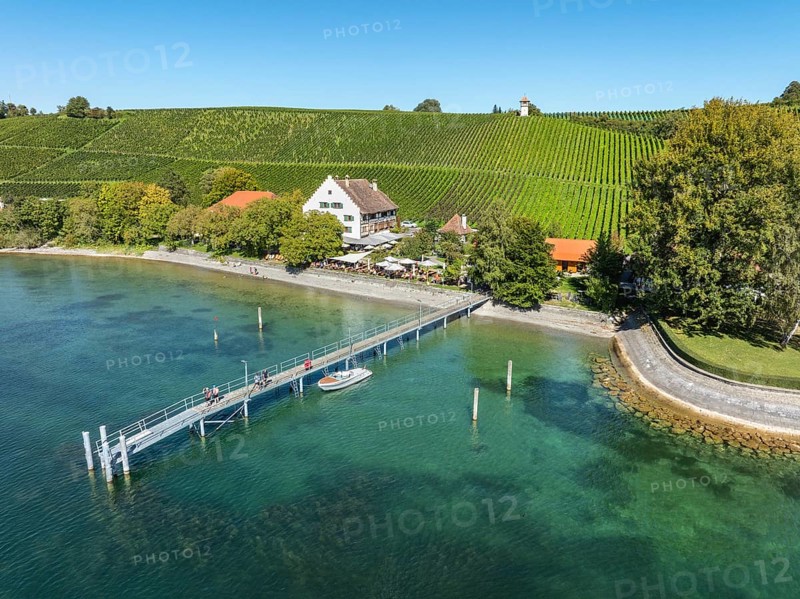 Aerial view of the jetty at the historic Rebgut Haltnau with catering business, outdoor catering and event venue, behind it a vineyard with wine tower, Meersburg, Lake Constance, Lake Constance district, Baden-Württemberg, Germany