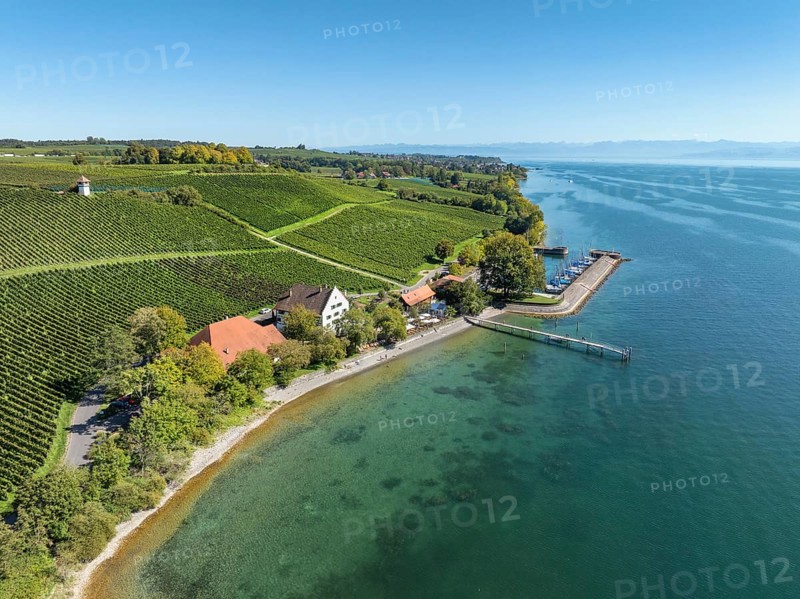 Aerial view of the marina and jetty at the historic Rebgut Haltnau with catering business, outdoor catering and event venue, behind it a vineyard with wine tower, Meersburg, Lake Constance, Lake Constance district, Baden-Württemberg, Germany