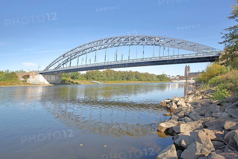 Star Bridge over the Elbe, Magdeburg Cathedral, banks of the Elbe, stones, arch bridge, steel construction, Rotehornpark, park, municipal park, Rotehorn, Magdeburg, Saxony-Anhalt, Germany