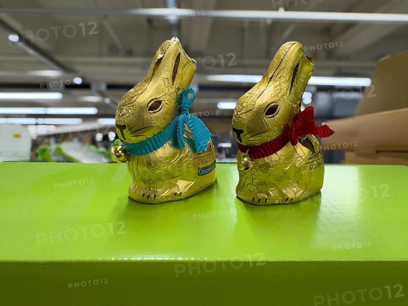 Two chocolate Easter bunnies in golden staniol paper, Germany