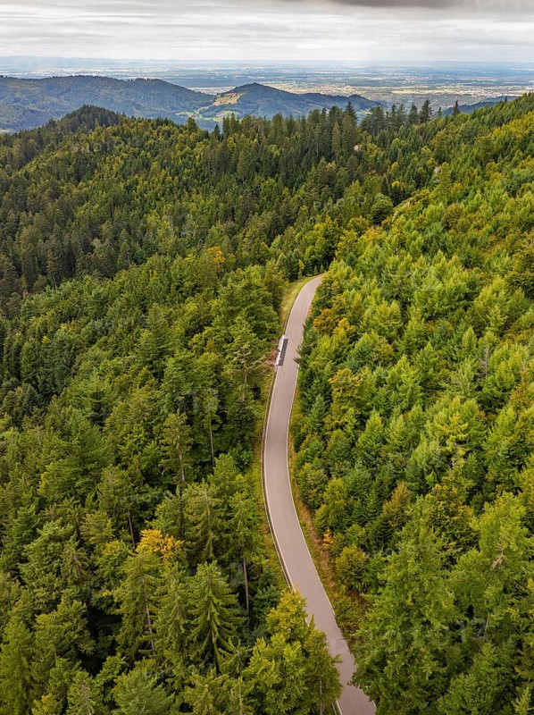 Winding road through lush wooded hills with views of the distance, Black Forest, Seebach, Germany