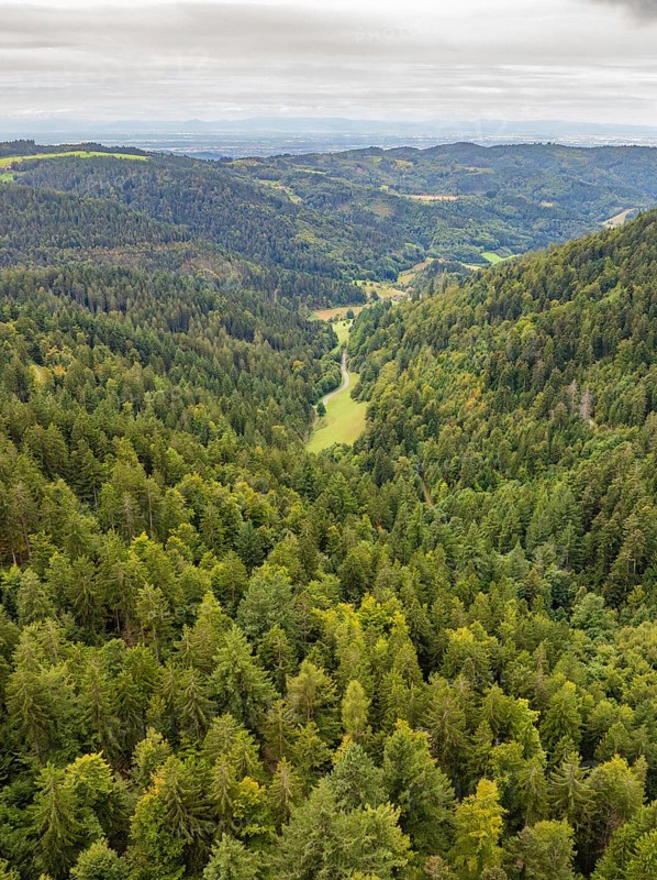 View of a wooded valley with green hills under a cloudy sky, Black Forest, Seebach, Germany