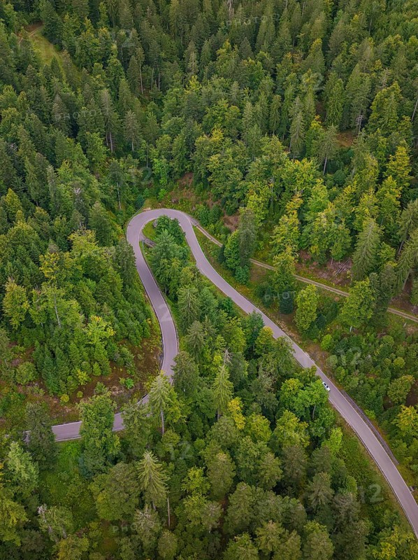 Small road winds through dense forest, Black Forest, Seebach, Germany