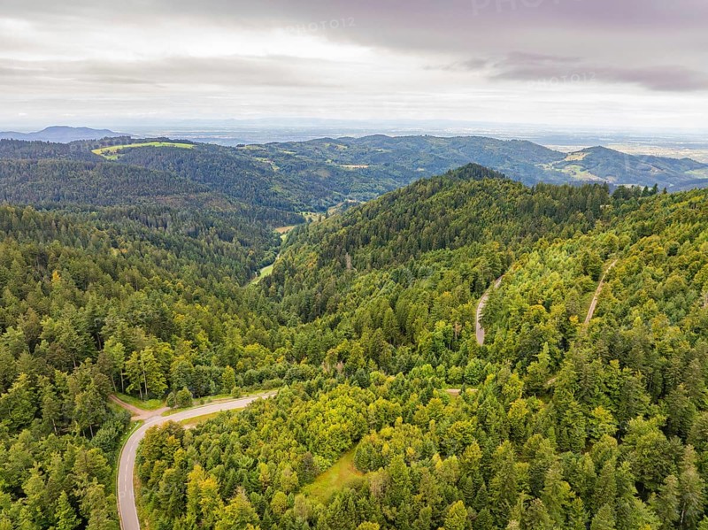 Extensive forest landscape with a winding road through the hills, Black Forest, Seebach, Germany