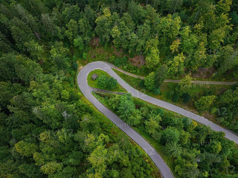 Winding road meanders through a detailed forest, Black Forest, Seebach, Germany