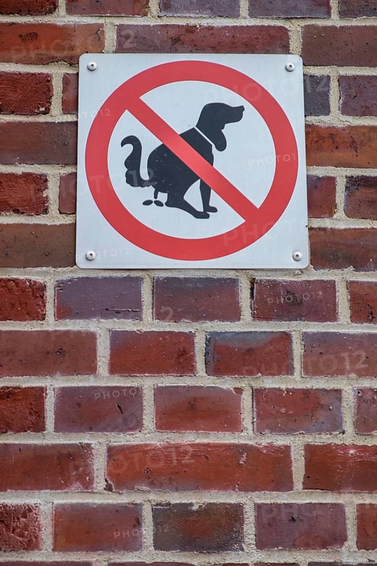Prohibition sign, no dog toilet, no dog litter tray, Münsterland, North Rhine-Westphalia, Germany