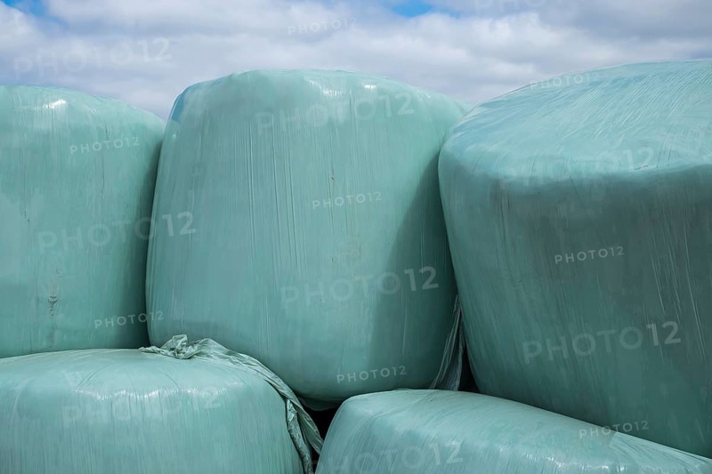 Silage, silage bales, silage bales in green plastic film, Münsterland, North Rhine-Westphalia, Germany