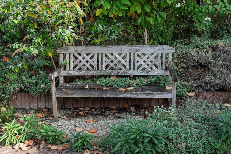 Old wooden bench with autumn leaves and lush greenery, Bredevoort, province of Gelderland, Netherlands