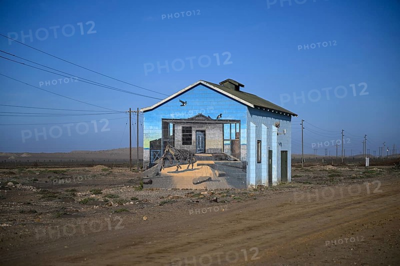 Painted house facade, graffito, brown hyena, diamonds, Oranjemund, Karas region, Namibia