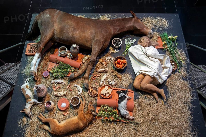 Replica of burial chamber beneath the tumulus of Grijpen at Het Toreke museum with Gallo-Roman finds in the city Tienen, Flemish Brabant, Belgium