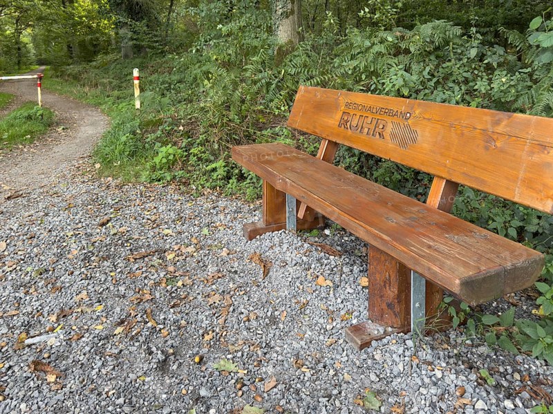 Wooden bench RVR bench with branded lettering Regionalverband Ruhr on cycle path Hiking trail in landscape conservation area Nature reserve Köllnischer Wald, Bottrop, North Rhine-Westphalia, Germany