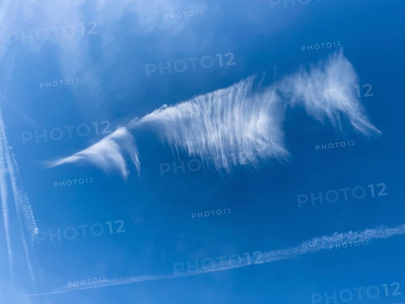 Cirrus cloud Feather clouds Veil clouds Cloud image in the shape of a floating seahorse under a blue sky, international