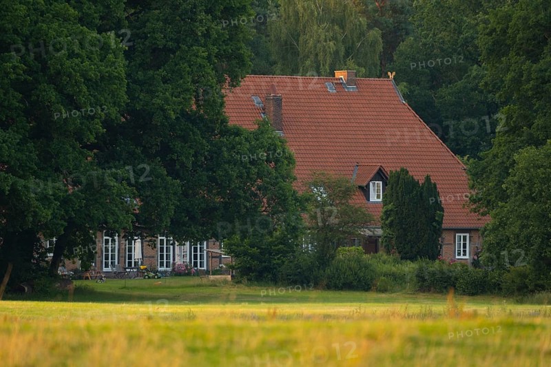 View across a meadow in the evening light to a farmhouse at the edge of the forest, Ahlden, district Heidekreis, Lower Saxony, Germany