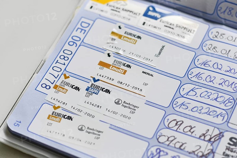 Germany - August 2025: Close up of dog vaccine passport with Eurican DAPPi Lmulti vaccination stamps. Veterinary proof of pet immunization