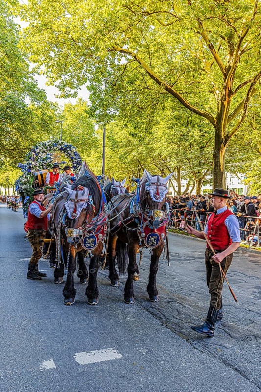 Splendid carriage of the Löwenbräu brewery, entry of the Oktoberfest hosts, Oktoberfest, Munich, Upper Bavaria, Bavaria, Germany