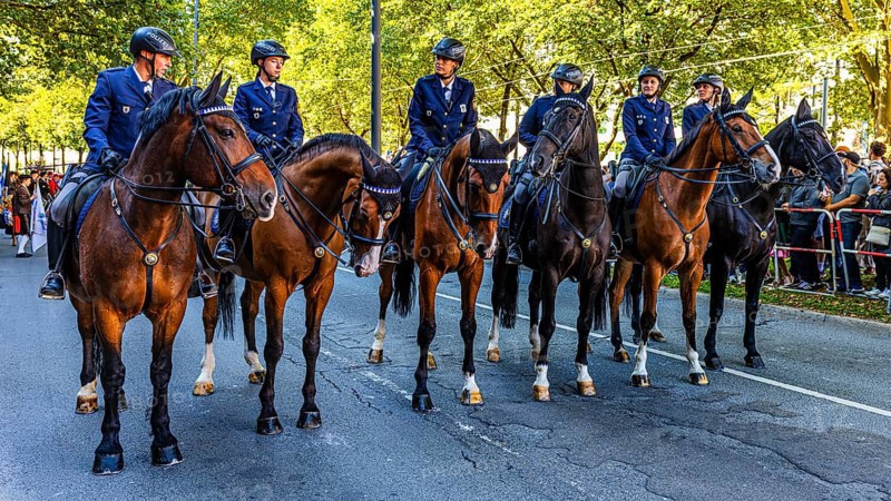 The Munich Police Riding Squadron, Entry of the Oktoberfest hosts, Oktoberfest, Munich, Upper Bavaria, Bavaria, Germany
