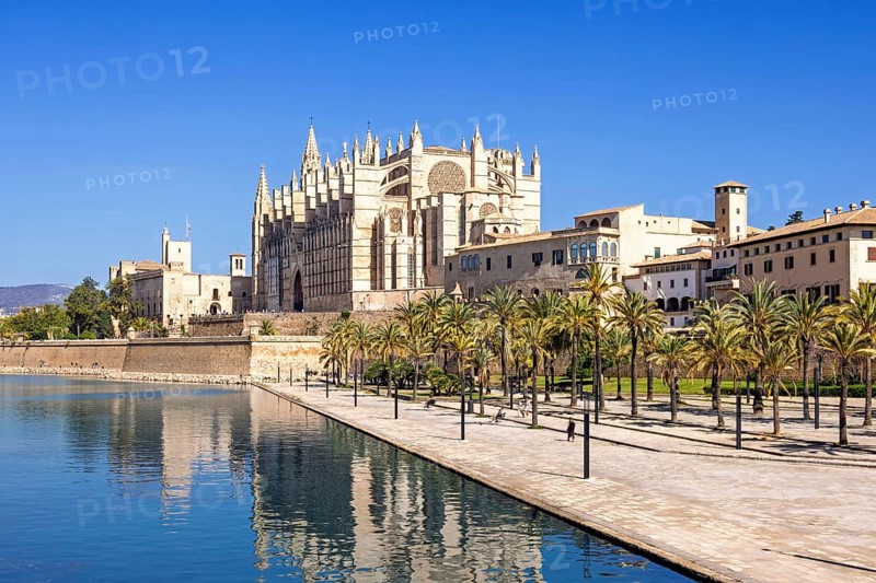 View at the famous Palma Cathedral with a water pond and palm trees in a park a sunny summer day, Palma de Mallorca, Mallorca, Spain