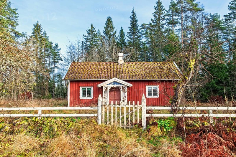 Red small wooden cottage with a fence and gate to the garden at the edge of the forest on a beautiful sunny autumn day, Sweden