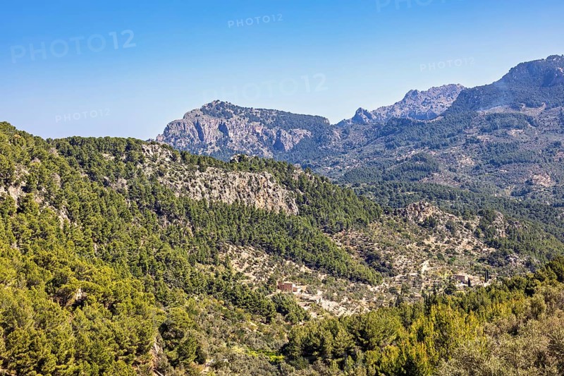 Scenics view at a mountainous valley landscape at the Serra de Tramuntana mountain range with green woodlands a sunny day, Mallorca, Spain