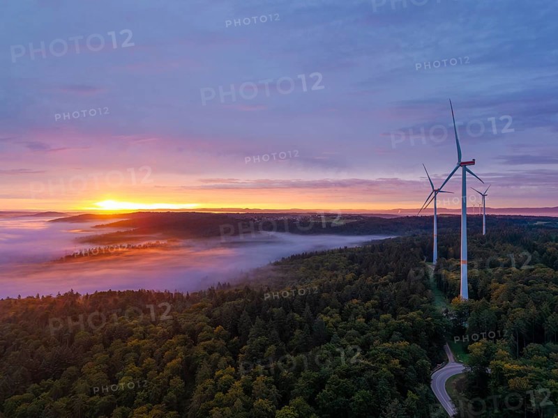 Wind turbines with a winding road through a forest area at sunrise, near Schorndorf, Remstal, Rems-Murr-Kreis, Baden-Württemberg, Germany