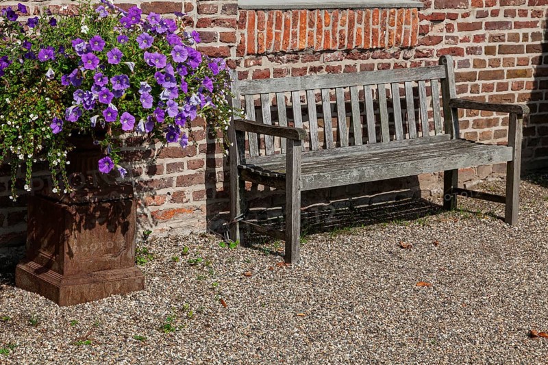 A wooden bench stands next to a lush flowerpot with purple flowers in front of a brick wall in the sun, North Rhine-Westphalia, Germany