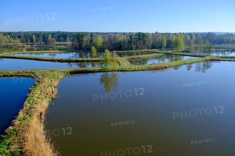 Tirschenreuther Teiche, Waldnaabaue, Große Teichpfanne, Vizinalradweg, near Tirschenreuth, Upper Palatinate, Bavaria, Germany