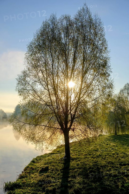 Morning atmosphere, fog at the Fischhof, Tirschenreuth, Upper Palatinate, Bavaria, Germany