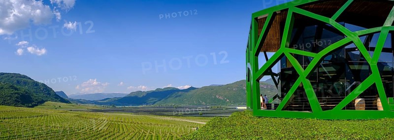 Tramin Winery, Tramin, Wine Route, South Tyrol, Italy