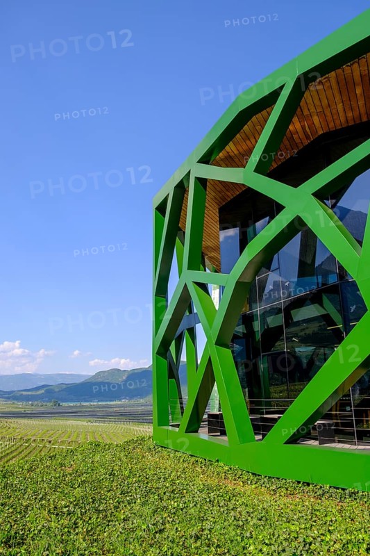 Tramin Winery, Tramin, Wine Route, South Tyrol, Italy