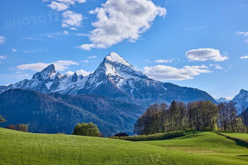 Mountain Watzmann, landscape photography, mountain landscape, mountains, meadow, coniferous forest, trees, blue sky, cumulus clouds, Bischofswiesen, district Berchtesgadener Land, Bavaria, Germany