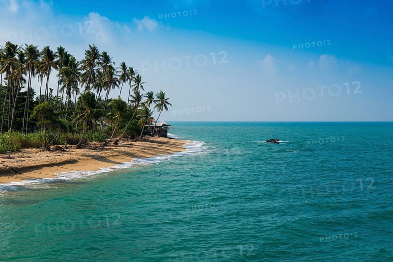 Sandy beach beach and coconut palms, Coconut Palm Beach, Sala Dan, Ko Lanta, Koh Lanta, Krabi Province, Southern Thailand, Andaman Sea, Thailand