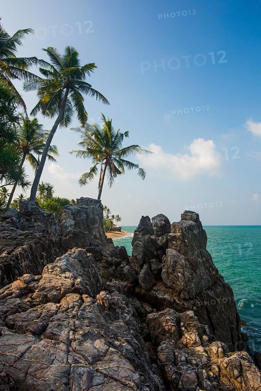 Rocks and coconut palms, Coconut Palm Beach, Sala Dan, Ko Lanta, Koh Lanta, Krabi Province, Southern Thailand, Andaman Sea, Thailand