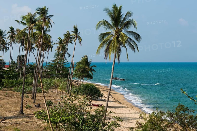 White sandy beach and coconut palms, Coconut Palm Beach, Sala Dan, Ko Lanta, Koh Lanta, Krabi Province, Southern Thailand, Andaman Sea, Thailand