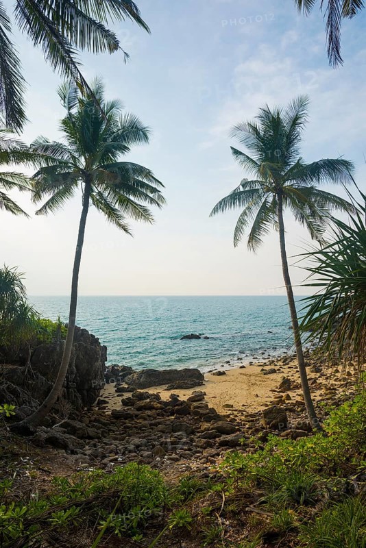 Sandy beach beach and coconut palms, Tricky-Trocky Beach, Sala Dan, Ko Lanta, Koh Lanta, Krabi Province, Southern Thailand, Andaman Sea, Thailand