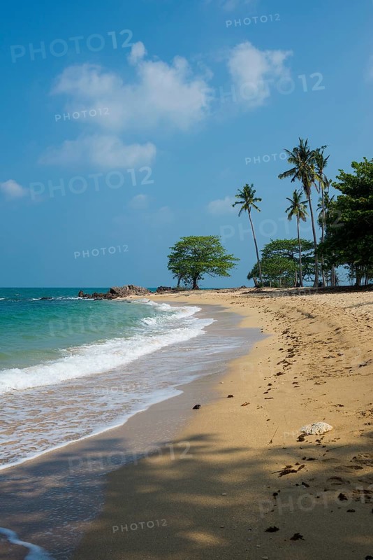 Sandy beach beach and coconut palms, Secret Beach, Sala Dan, Ko Lanta, Koh Lanta, Krabi Province, Southern Thailand, Andaman Sea, Thailand