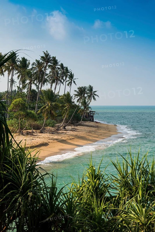Sandy beach beach and coconut palms, Coconut Palm Beach, Sala Dan, Ko Lanta, Koh Lanta, Krabi Province, Southern Thailand, Andaman Sea, Thailand