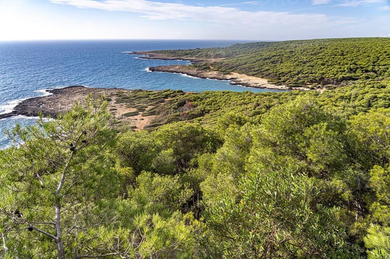 Landscape on the coast of the Porto Selvaggio nature reserve, Santa Caterina, Nardo, Apulia, Italy